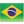 Português-BR